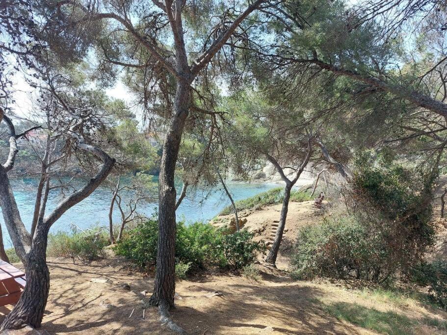 Charmant Mazet - Plage A Pied Saint-Peïre-sur-Mer 外观 照片
